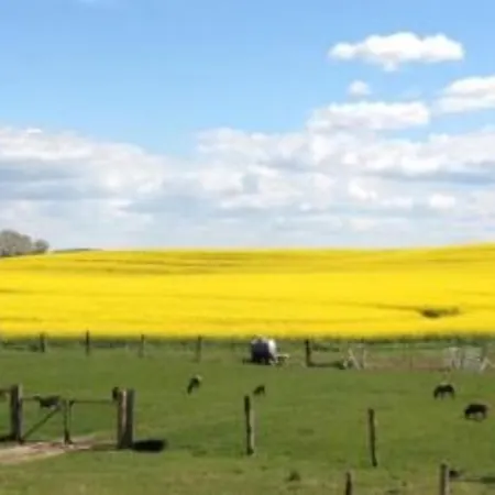 13 Ziegenheim Auf Dem Bauernhof Farma *